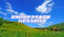深圳白蟻防治專家講解 白蟻生存的環境