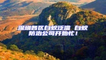 深圳各區白蟻泛濫 白蟻防治公司開始忙!