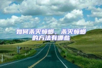 如何殺滅蟑螂，殺滅蟑螂的方法有哪些