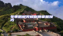 冬季防蟻滅蟻你得掌握技巧