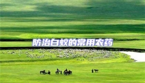 防治白蟻的常用農藥