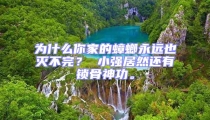 為什么你家的蟑螂永遠也滅不完? 小強居然還有鎖骨神功。