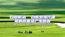 白蟻防治  白蟻對現代建筑的危害及產生原因