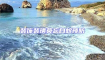 裝飾裝璜莫忘白蟻預(yù)防