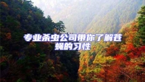專業殺蟲公司帶你了解蒼蠅的習性