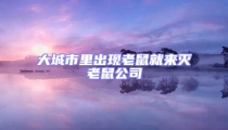 大城市里出現老鼠就來滅老鼠公司