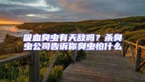 吸血臭蟲有天敵嗎?殺臭蟲公司告訴你臭蟲怕什么