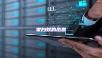 家白蟻的危害