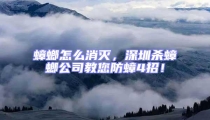 蟑螂怎么消滅,深圳殺蟑螂公司教您防蟑4招!