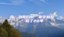 奇:瀏陽(yáng)白蟻“豪華別墅”修了20年