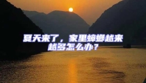 夏天來了,家里蟑螂越來越多怎么辦?