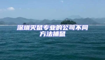 深圳滅鼠專業的公司不同方法捕鼠