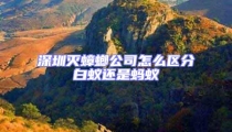 深圳滅蟑螂公司怎么區分白蟻還是螞蟻