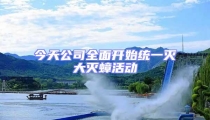 今天公司全面開始統一滅大滅蟑活動