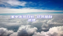 家中發現白蟻 切勿擅自處理