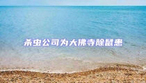 殺蟲公司為大佛寺除鼠患