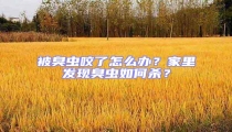 被臭蟲咬了怎么辦?家里發現臭蟲如何殺?