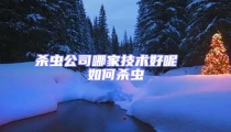 殺蟲公司哪家技術(shù)好呢  如何殺蟲