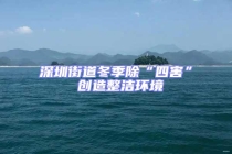 深圳街道冬季除“四害” 創(chuàng)造整潔環(huán)境