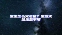 家里怎么滅老鼠?家庭滅鼠注意事項