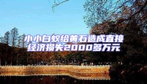 小小白蟻給黃石造成直接經(jīng)濟(jì)損失2000多萬(wàn)元