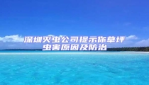 深圳滅蟲公司提示你草坪蟲害原因及防治