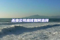 殺蟲公司應該如何選擇