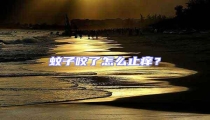 蚊子咬了怎么止癢?