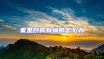 家里廚房有蟑螂怎么辦