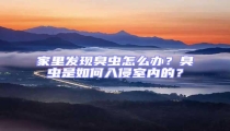 家里發現臭蟲怎么辦?臭蟲是如何入侵室內的?