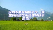 深圳專業除蟑螂公司,家里有蟑螂怎么該如何盡早防治?