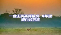 一業主購買樣板房 4年便遭白蟻危害