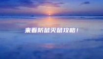 來看防鼠滅鼠攻略!