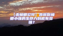 【殺蟑螂公司】告訴你蟑螂小強的生命力到底有多強?