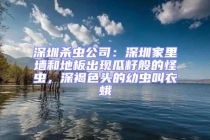 深圳殺蟲公司：深圳家里墻和地板出現(xiàn)瓜籽般的怪蟲，深褐色頭的幼蟲叫衣蛾