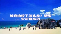 被臭蟲咬了怎么辦?除蟲公司有高招