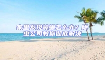 家里發現蟑螂怎么辦?除蟲公司教你徹底解決