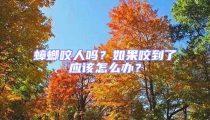 蟑螂咬人嗎?如果咬到了應(yīng)該怎么辦?