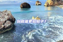 到底誰更招蚊子？