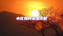 小區如何殺蟲滅鼠