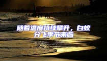 隨著溫度持續攀升,白蟻分飛季節來臨