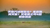 滅鼠方法知多少?家庭如何滅鼠?滅老鼠公司4招教你搞定
