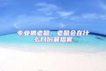 專業(yè)抓老鼠：老鼠會(huì)在什么月份最猖獗