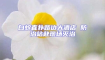白蟻直撲路邊大酒店 防治站赴現場滅治