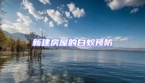 新建房屋的白蟻預(yù)防