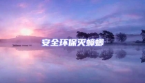 安全環(huán)保滅蟑螂