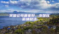 滅鼠公司哪家好,支架壓箭捕鼠法