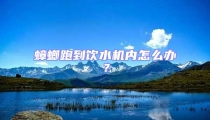 蟑螂跑到飲水機內怎么辦?