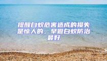 提醒白蟻危害造成的損失是驚人的,早做白蟻防治最好