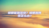蟑螂能跑多快?蟑螂跑得快怎么辦?